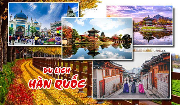 Du lịch Hàn Quốc công ty nào tổ chức tốt? Gợi ý 8 địa chỉ uy tín cho bạn