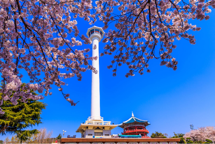 Tháp Busan Tower công trình ấn tượng và độc đáo của đất nước Hàn Quốc