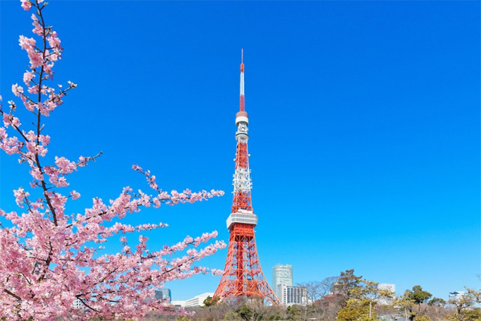 Tháp Tokyo Tower - vẻ đẹp biểu tượng nổi bật của đất nước mặt trời mọc