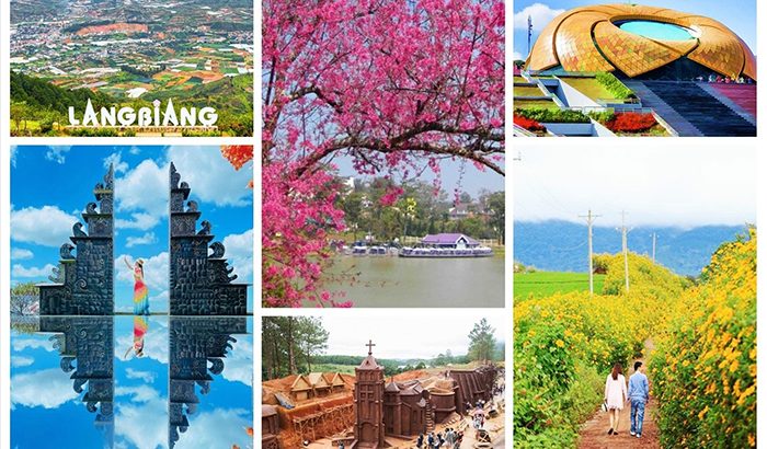 Top công ty du lịch Đà Lạt tại Việt Nam, đâu là lựa chọn đáng tin cậy?