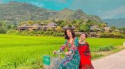 Kavo Travel – Công ty du lịch chuyên tour Mai Châu uy tín, chất lượng số 1 tại Hà Nội