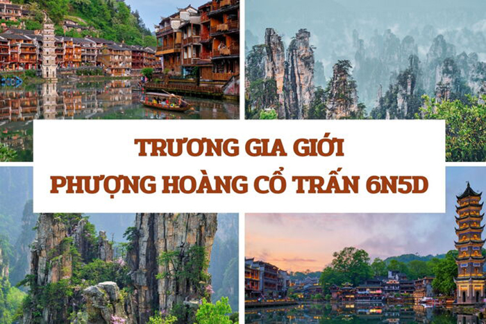 Kavo Travel cung cấp các tour với nhiều mức giá ưu đãi, đảm bảo bạn có trải nghiệm tuyệt vời mà không phải lo lắng về chi phí phát sinh.