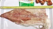 Mực một nắng giá bao nhiêu? Địa chỉ mua mực một nắng Cô Tô uy tín, chất lượng