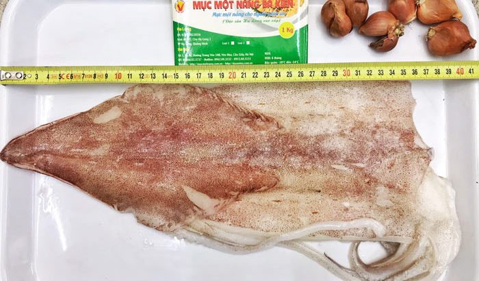 Mực một nắng giá bao nhiêu? Địa chỉ mua mực một nắng Cô Tô uy tín, chất lượng