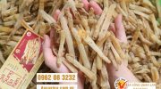 Phân biệt sá sùng chất lượng và sá sùng kém chất lượng