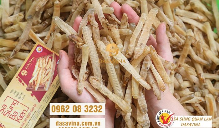 Phân biệt sá sùng chất lượng và sá sùng kém chất lượng