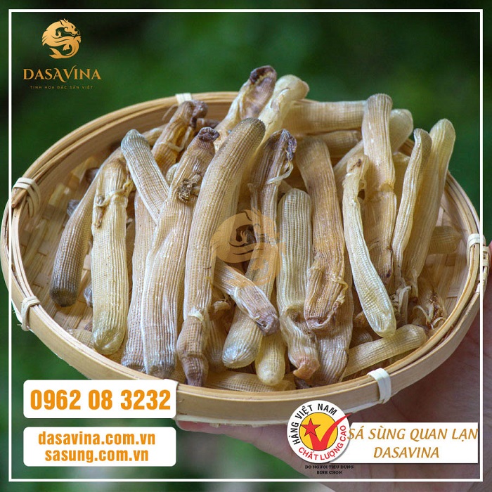Sá sùng - đặc sản quý, giá trị dinh dưỡng cao