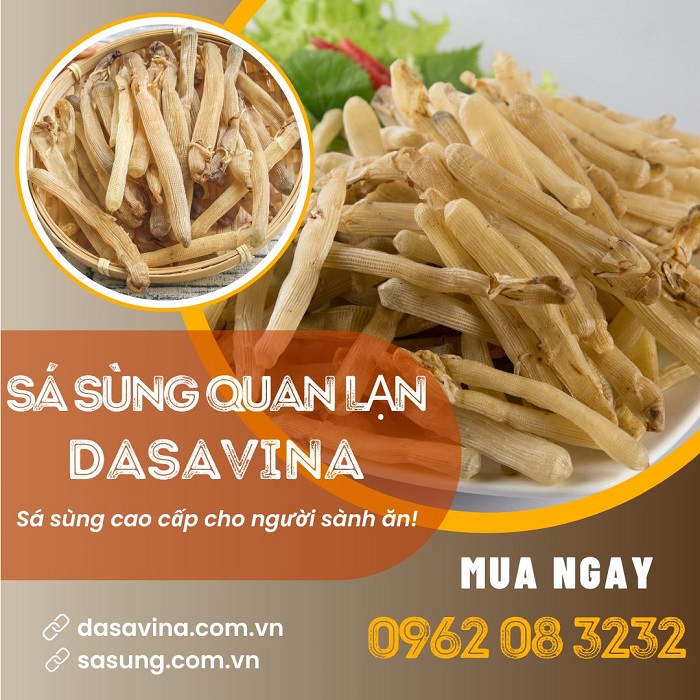 Sá sùng có nhiều công dụng, tốt cho sức khỏe, nhiều người tìm mua