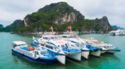 Cập nhật lịch tàu cảng Ao Tiên mới nhất
