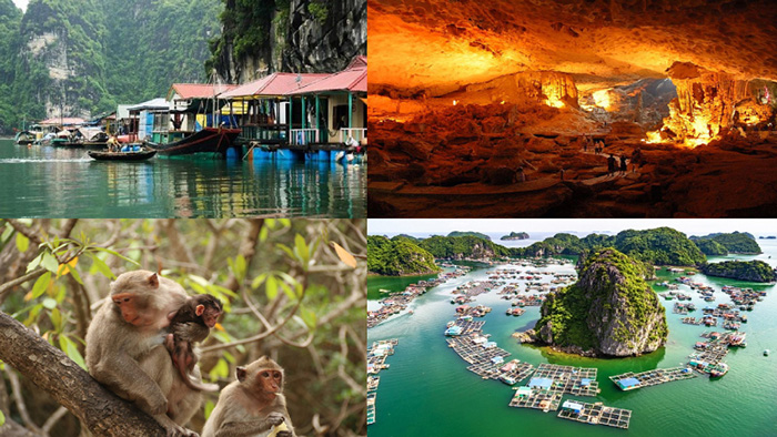 Những mẹo hay từ di chuyển, lưu trú, ăn uống đến các điểm check-in nổi bật giúp chuyến đi suôn sẻ và đáng nhớ.