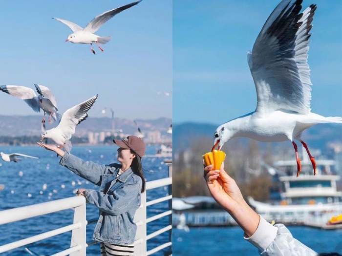 Hướng dẫn viên tại KAVO TRAVEL tận tâm, am hiểu rõ về Côn Minh