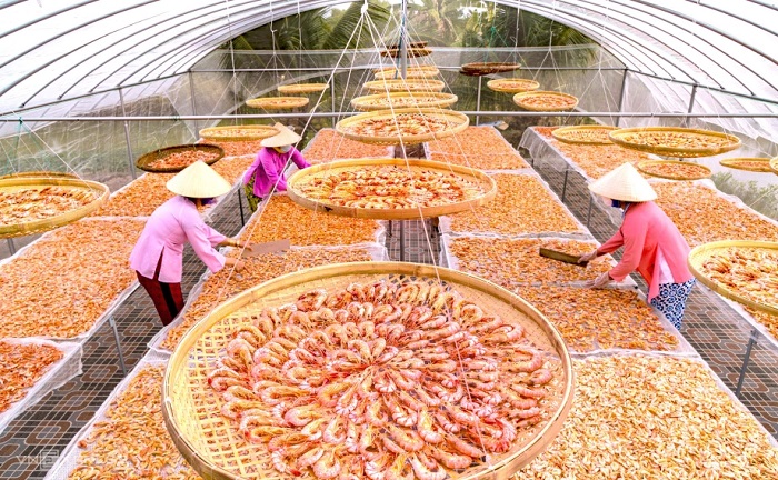 Những yếu tố ảnh hưởng đến giá tôm khô Cà Mau