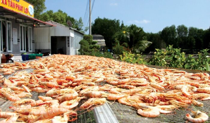 Tôm khô Cà Mau ở đâu ngon nhất?