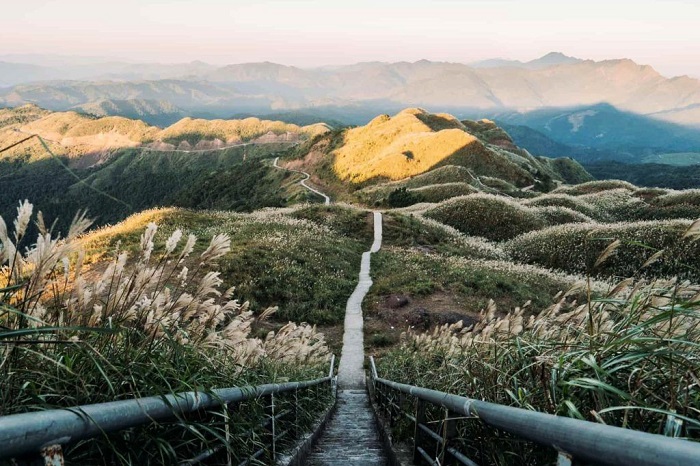 Sống lưng khủng long Bình Liêu – Cung trekking dành cho người yêu khám phá